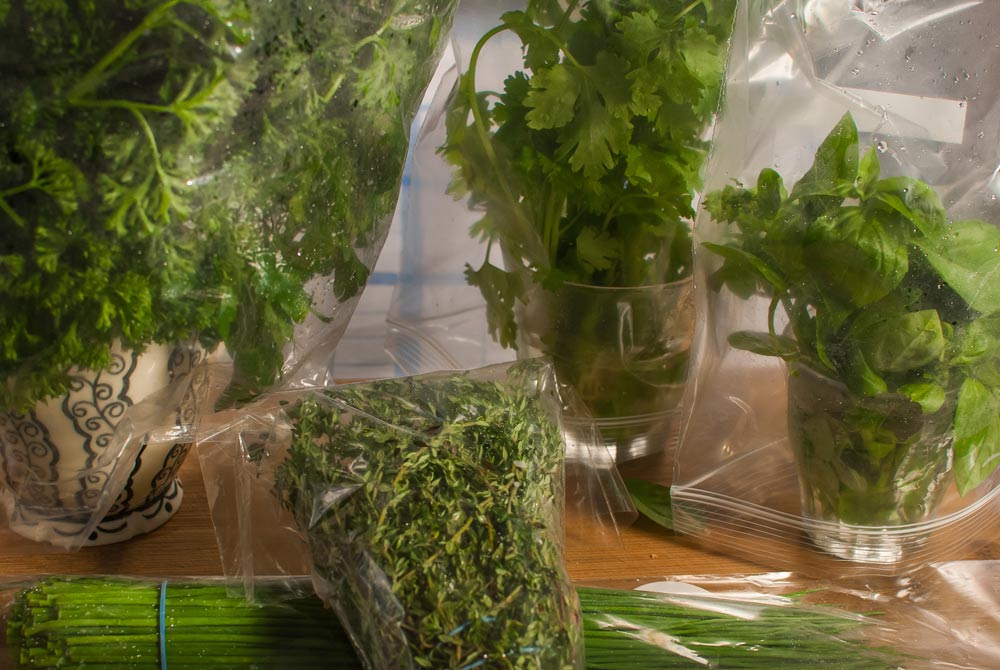 Fresh herbs are great - but why is it so difficult to keep them fresh...